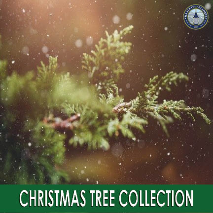 Christmas Tree Collection