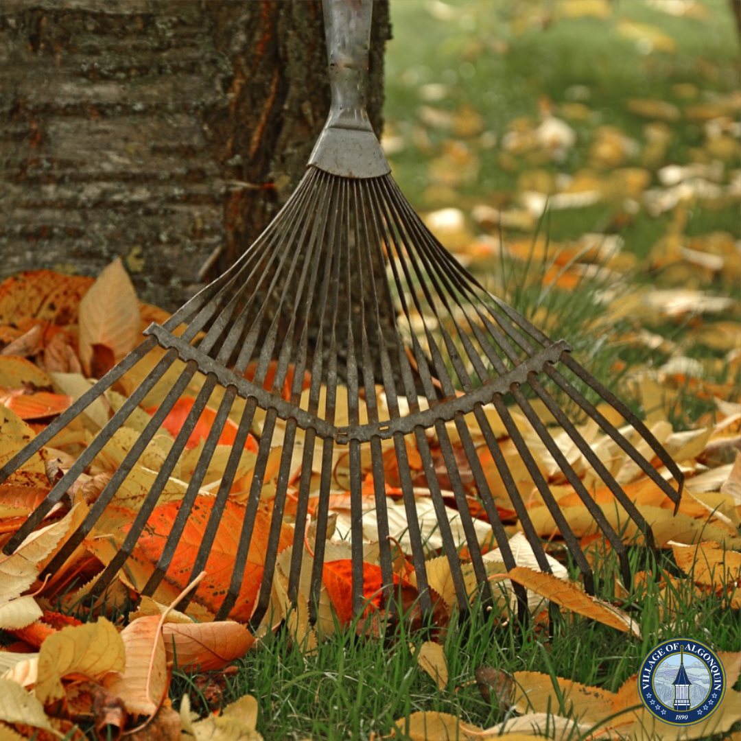 Free Leaf and Brush Collection begins October 3