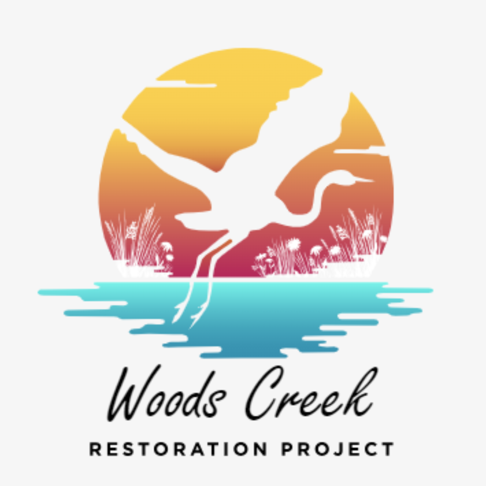 Sign Up for Woods Creek Restoration Project Updates